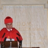 Honoris Causa Manuel Losada, Michel Prieur, Frank T. Avignone